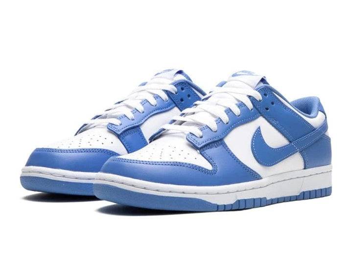 Nike Dunk Low Polar Blue